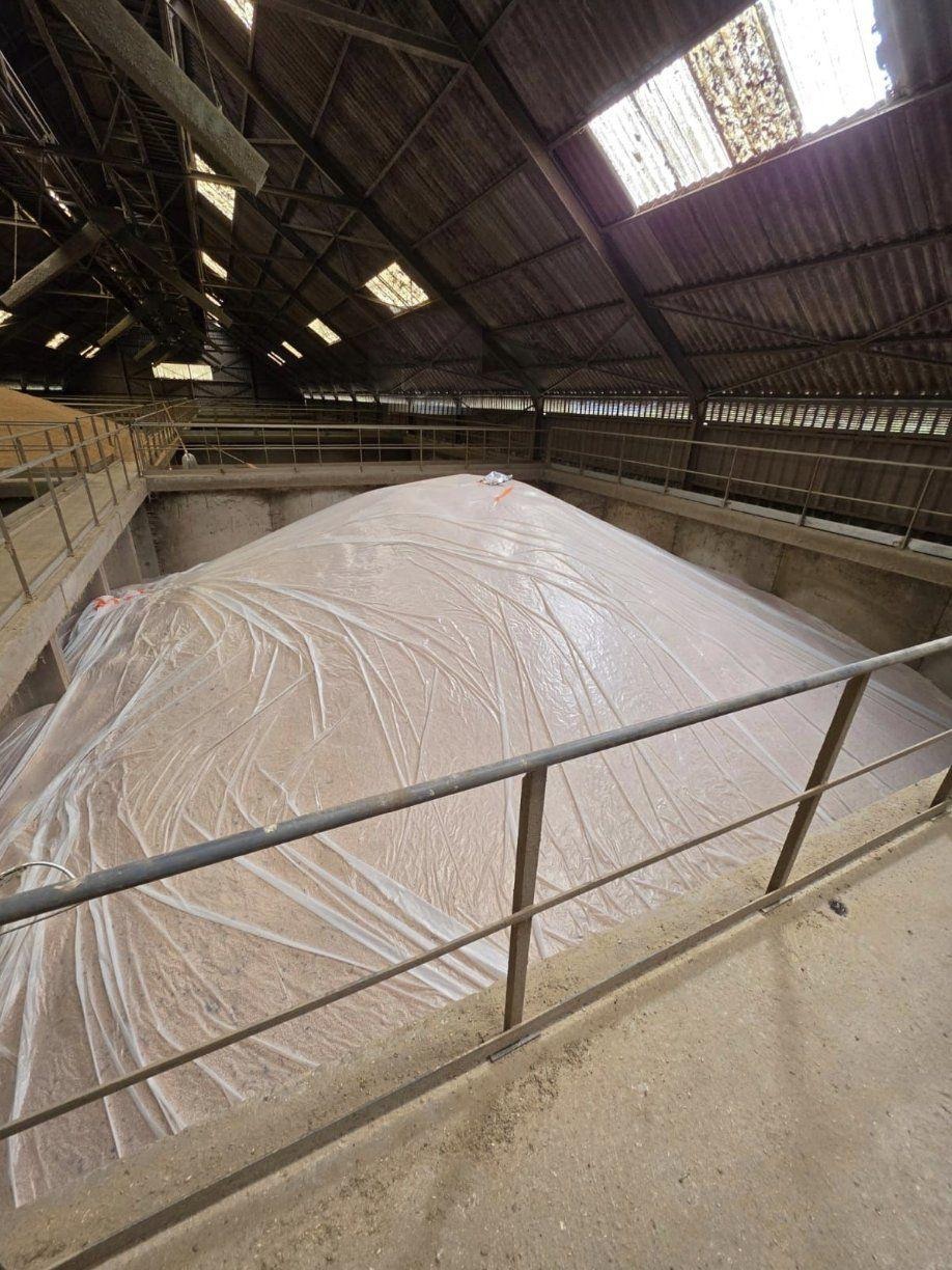 Bâchage et fumigation PH3 d'un stockage de céréales