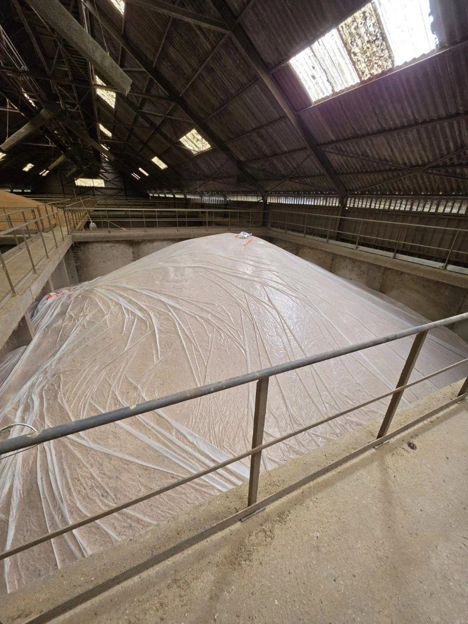 Bâchage et fumigation PH3 d'un stockage de céréales