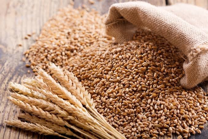 Grains de blé et épis, sac de céréales