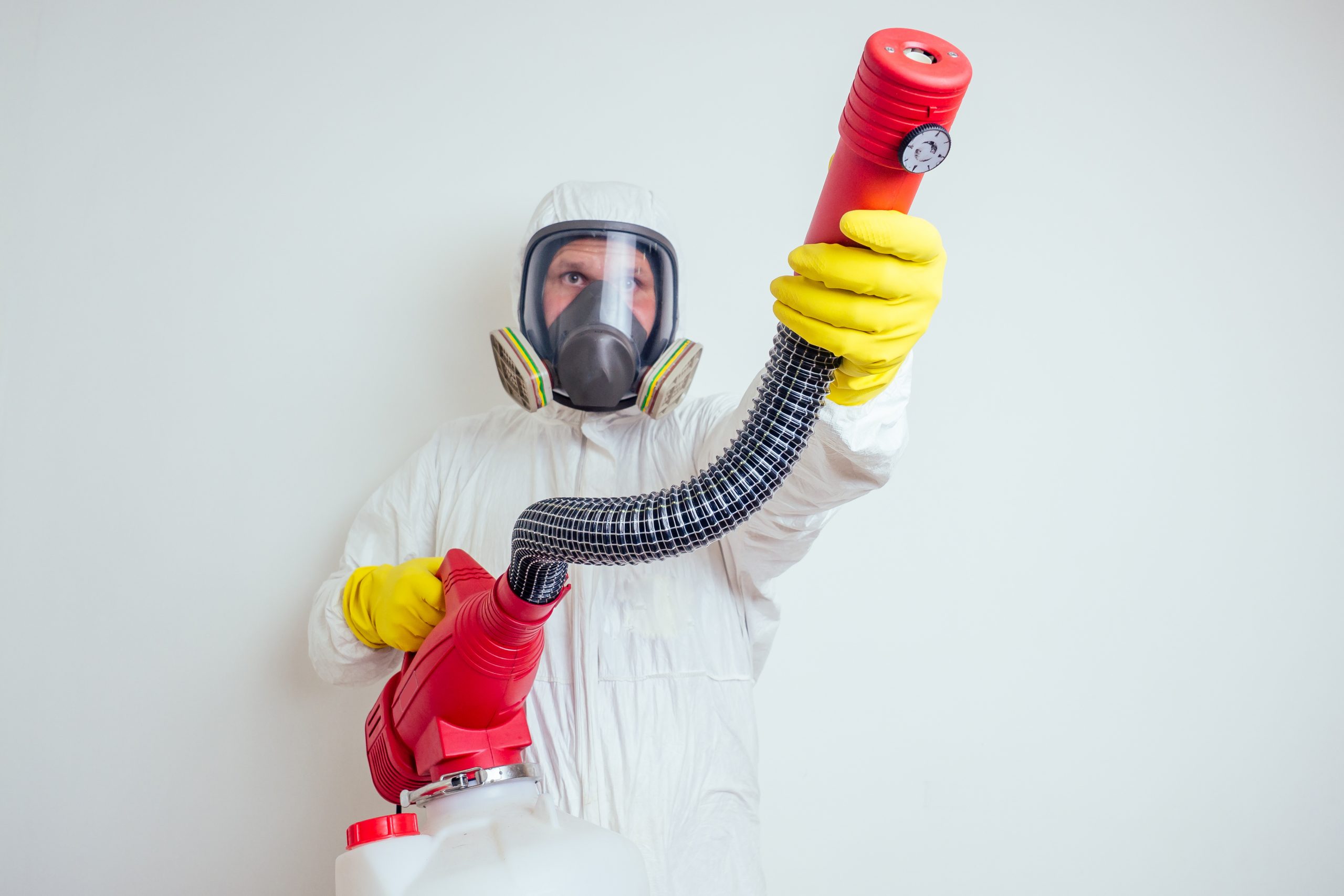 pest control worker spraying pesticides with sprayer in apartment copy spase white walls background Un problème de désinfection ? Dératisation, Désinsectisation, Désinfection . Agro Sanit intervient rapidement dans le Loiret(45), en Essonne(91), en Yvelines(78)